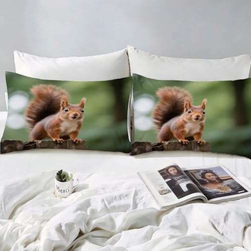 Housse de couette écureuil 200x200 parure de lit microfibre animaux mignons