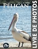  Pélican: Livre de Photos - Plus de 100 images HD
