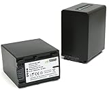 Wasabi Power Battery for Sony NP-FV100 (3900mAh, 2-Pack)