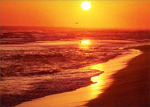 Avanti Press Rolling Waves on Beach : Sunset in Orange Sky America Collection Blank Note Card