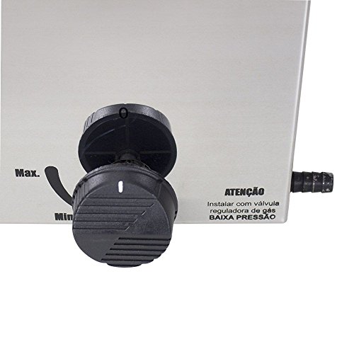 Fritadeira a Gás 2 Cubas 5 Litros cada em Aço Inox - Venâncio