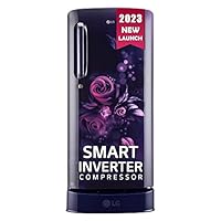 LG 185 L 5 Star Inverter Direct-Cool Single Door Refrigerator (GL-D201ABEU, Blue Euphoria, Base stand with drawer)