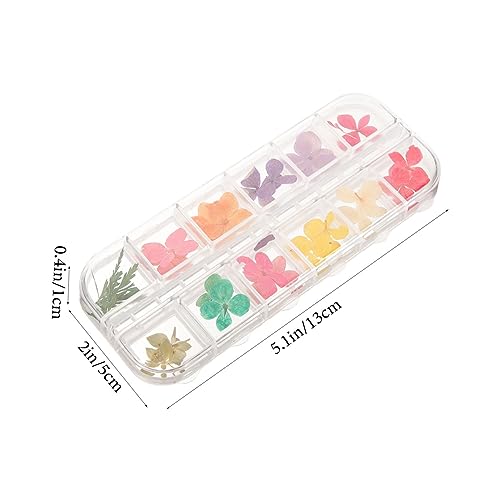 Kit de Flores Naturales Secas y Resina para Manualidades miniatura 2