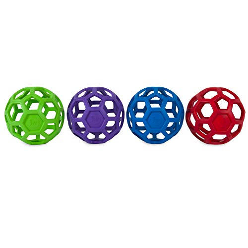 Jw Hol-Ee Roller Dog Fetch Treat Dispenser Puzzle Ball; Large 5.5 Inch Diameter #TOP2