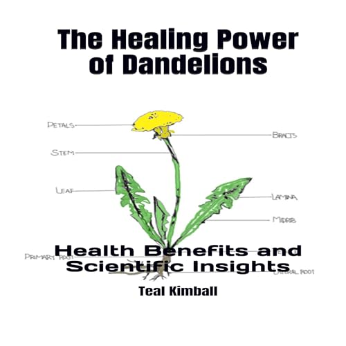 The Healing Power of Dandelions by Teal Kimball episode artwork