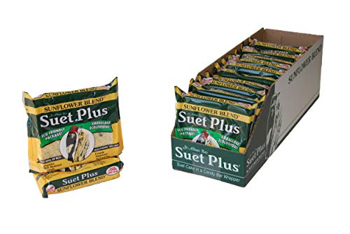 Girasol mezcla de Sebo, pack de 12 unidades