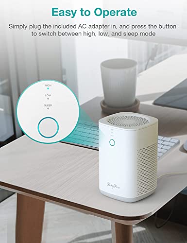 https://m.media-amazon.com/images/I/41n6ms89SML._SL500_.jpg
