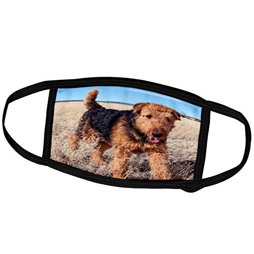 3dRose Airedale Terrier in a Field of Dried Grasses - Face Mask, 6.7 by 4.3-inch (fm_231301_2)