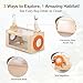 Wooden Bug Catcher Kit for Kids, 16-in-1 Outside Toys for Toddlers STEM Outdoor Explorer Set with 3-Way Observation Habitat, Butterfly Net, Magnifying Glass, Educational Gift for Boys Girls Ages 3-8