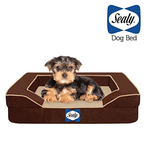 Sealy Lux Pet Dog Bed | Quad Layer Technology with Memory Foam, Orthopedic
