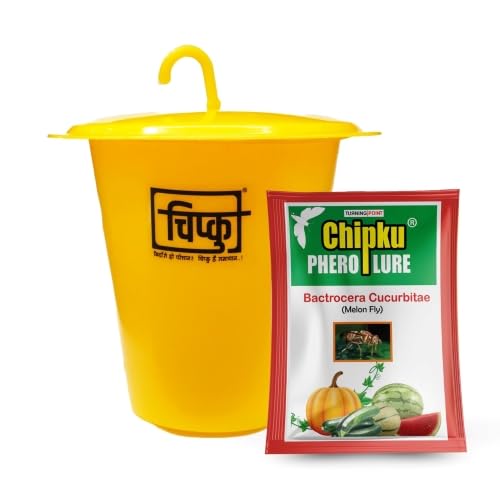 Chipku- Melon Fly bactocera cucurbitae ECOMAX Pheromone Trap Pack of 2 (B0875GXW8J) Amazon Price History, Amazon Price Tracker