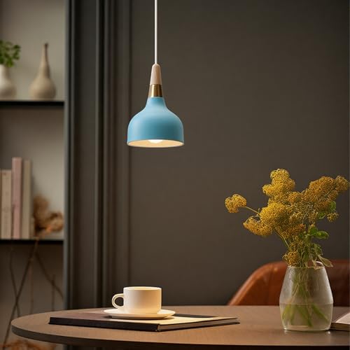 Lámpara de techo moderna E27 retro para iluminar la mesa de la cocina y el salón 7