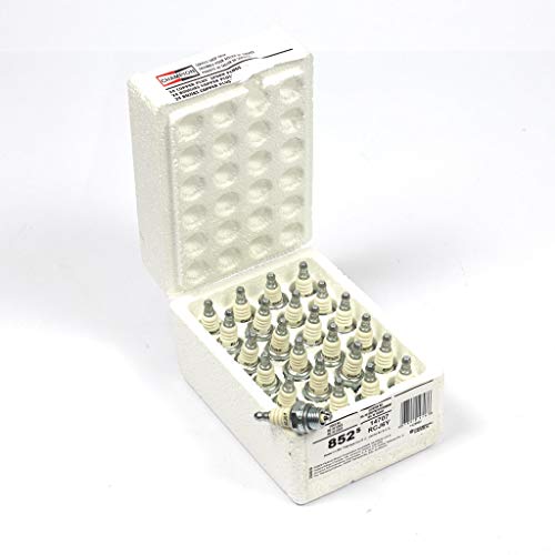 Champion Rcj6Y pack de 24 bougies d'allumage d'origine pour moteur de motoculture