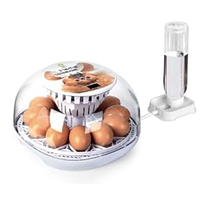12 Eggs Incubator for Hatching Eggs with Automatic Egg Turner, Temperature Control, Automatic Water Adding for Hatching Chicken, Goose, Duck, Quail, Pigeon, and Turkeys (12 Egg)