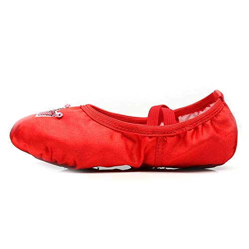 HROYL Cute Ballet Shoes Satin Ballet Slippers,Suitable for Toddler Little Big Girl,TJ-HGballet2