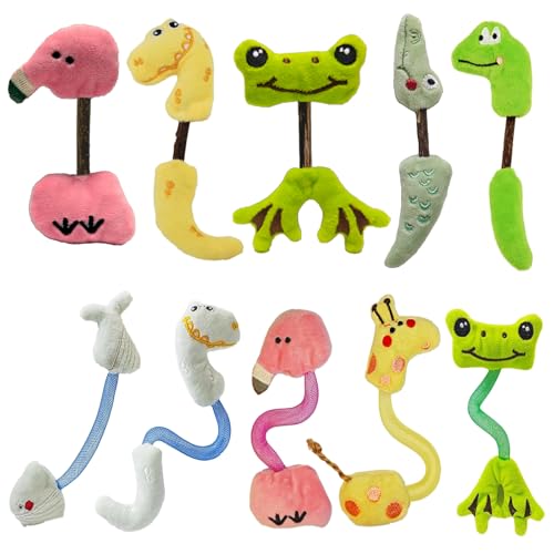 uyiixoxo Interactive Cat Toys Set, Catnip and Silvervine Chew Sticks,Teeth Cleaning Toy, Spring Ropes Toy for Indoor Cats and Kittens (10 Pack)