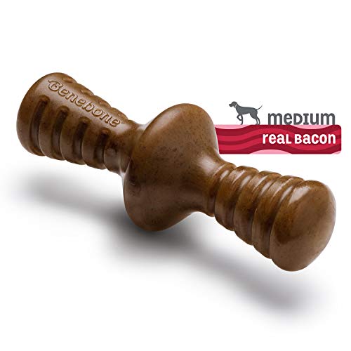 Brinquedo Mordedor Para Cachorro Benebone Zaggler Bacon M