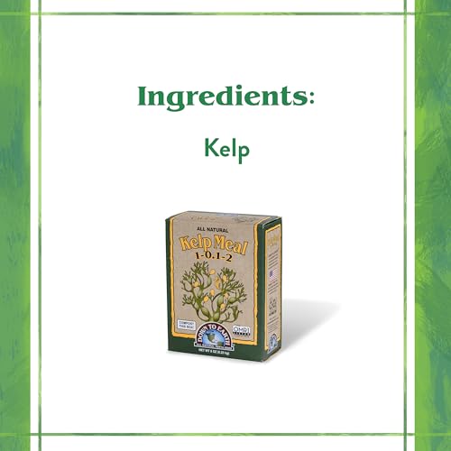 Down To Earth All Natural Fertilizers Organic Kelp Meal - Plant Food with Seaweed (Ascophyllum nodosum), Potassium and Trace Minerals 1-0.1-2, 0.5 lb