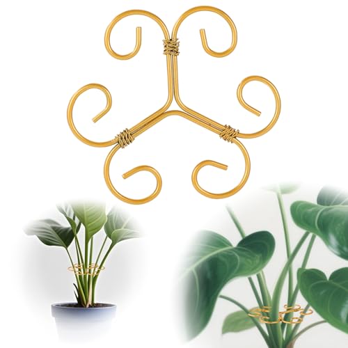 Lyreh 3 Pcs Monstera Plant Grapple Support, Heart Shaped Plant Support Stakes Stem Durable...