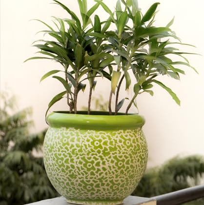 Image of Niyara Designer Handi Ceramic planters pots for Indoor Outdoor Home, Garden Office Decor Balcony Planters Gamla Flower Size- Very Large (Green Drop 11)