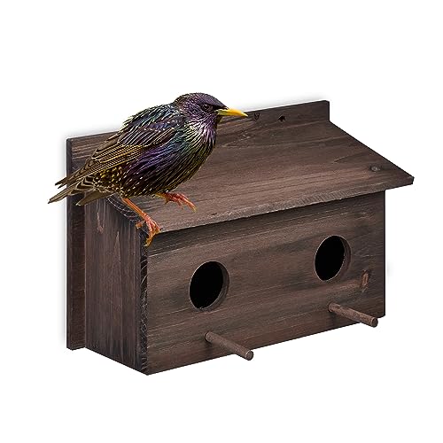Relaxdays Nistkasten für Stare, natürliches Tannenholz, 2X Einflugloch 5 cm, Sitzstange, Vogelhaus zum Aufhängen,...