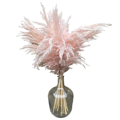 Pampas Grass Grande 10Pzs Rosa Seco Decora Boda Hogar
