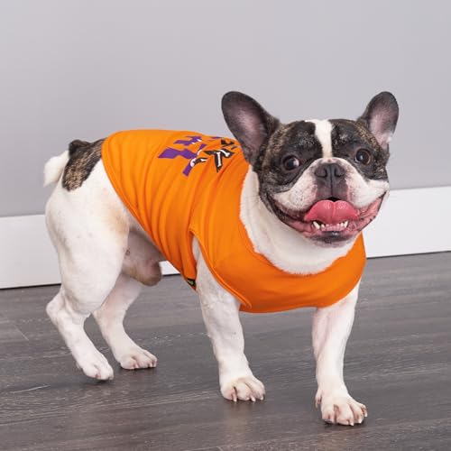 Camiseta para perro Halloween Trick or Treat talla Large miniatura 3