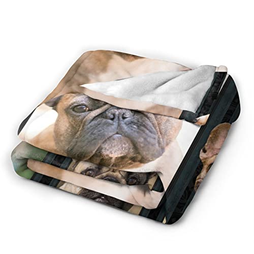 Small Lovely Dog French Bulldog Ultra-Soft Throw Blanket Home Decorative Blanket For Living Room Bed Sofa #TOP2