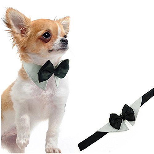 Set Costume Cane Per Bambini Con Mantello E Maschera - Eroe Animale Per Halloween E Carnevale