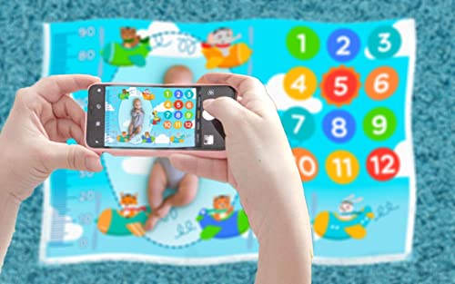 Baby Deluxe Tapete Cenario Fotos Do Bebe Mesversario Aviador Safari Bichinhos, Azul