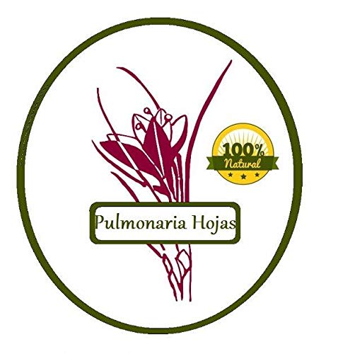 Pulmonaria Hoja 1000 grs - Pulmonaria Hierba Infusión 100 % Natural