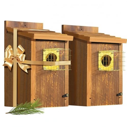 2pk Fortress Bluebird House for Outdoor Clearance - Metal Entry