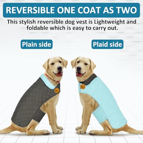 Image of Sage Square 2 in 1 Waterproof Premium Reversible Double Side Dog Coat, Ultra Warm Windproof Winter, Thicker Fleece Jacket for Cold Weather (Sky Blue) (Small-Medium) (14 Inches)