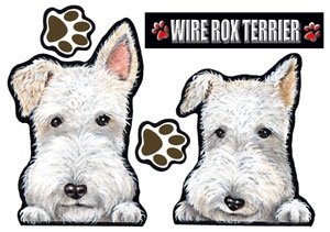 XebJ[ C[tHbNXeA1 V[G݃ObY