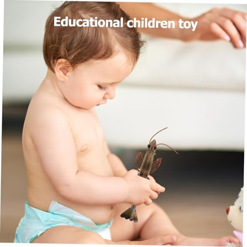 SOPOTUTU Garnelenspielzeug Für Junge Mädchen Lernen Meerestierspielzeug Figuren Junge Mädchen Spielzeug Haushaltsspielzeug Pädagogisches Lernspielzeug Interessantes Kinderspielzeug Realisti