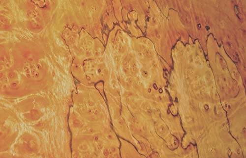 Pimento Burl prefinished Wood Veneer 14