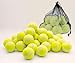 Price comparison product image 1ABOVE Durable Sport Play Tennis Cricket Dog Toy Ball with Mesh Carrying Bag, Sturdy & Durable, Great For Lessons, Practice, Throwing Machines Adults Children Exercise Pets