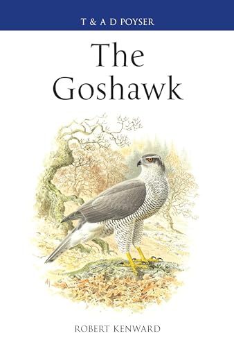 The Goshawk view 2