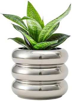 Ceramic Plant Pot Indoor, 4.5 Inch Flower Pot with Drainage Hole,...