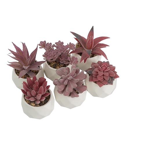 Greendream Plantas Artificiales Set 6 Plantas Artificiales Cerámica Tarro - 6 Piezas Suculentas - Regalo - Rosa