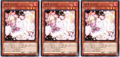 �y3���Z�b�g�z �V�Y���J�[�h �D������� (�m�[�}��) TACTICAL TRY DECK �^�N�e�B�J���g���C�f�b�L ���� ��D�U�� TT01