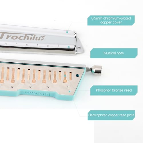 JDR Trochilus 10 Holes Chromatic Harmonica Key of C Armonica Valveless Harp Mouth Organ Chromonica with Case for Adults Professionals Beginners Kids Teachers Students (Blues/Ritcher Tuning Key of C) - Les Beatles, Paul McCartney, John Lennon, RIngo Starr, George Harrison JDR Trochilus 10 Holes Chromatic Harmonica Key of C Armonica Valveless Harp Mouth Organ Chromonica with Case for Adults Professionals Beginners Kids Teachers Students (Blues/Ritcher Tuning Key of C) – Image 6