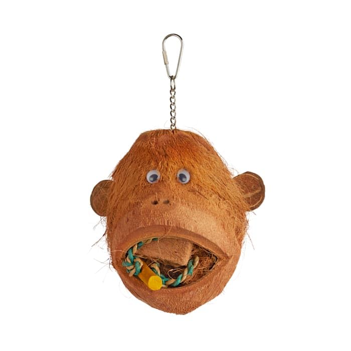 Petco Brand - You & Me Coconutty Monkey Foraging Bird Toy, Large