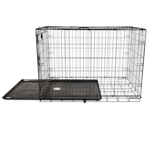 Precision Pet Produtos One Door Provalue Wire Dog Crate, 106 cm, para animais de estimação de 32 a 4