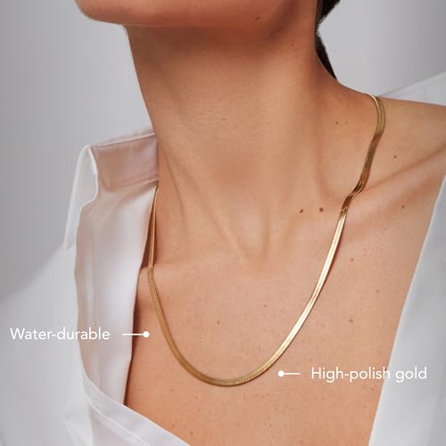 JENNY BIRD Zeina Flat Snake Chain Necklace | High Polish Gold, Lobster Clasp | Sleek, Chunky Designer Jewelry for Women2