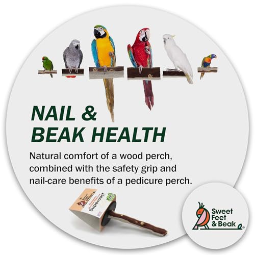 Image of Sweet Feet and Beak Manzanita Bird Perch, X-Large, Wooden Pedicure Perch | Cosmetic Grade Manzanita-Pumice Blend, Bird Cage Perch for Healthy Feet, Beak and Muscle, 14 inch Perch, Available in 5 Sizes