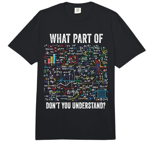 What Part of Don’t You Understand Funny Math Sarcastic Comfort Colors Adult Heavyweight T-Shirt