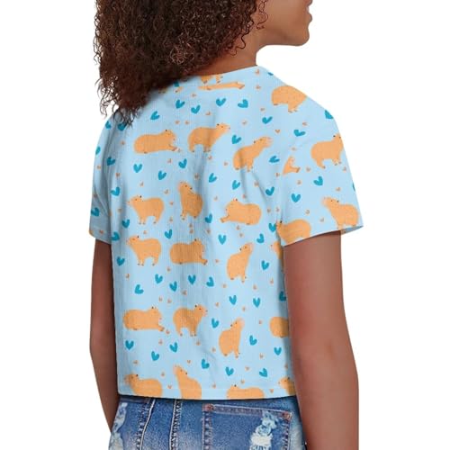 Image of Girls Crop Tees Crew Neck Casual Short Sleeve T Shirts Kids Loose Soft Comfortable Tees Blouses Shirt for Little Girl