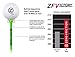 Zero Friction Victory 5-Prong Golf Tees (2-3/4 Inch, Blue, Pack of 40)