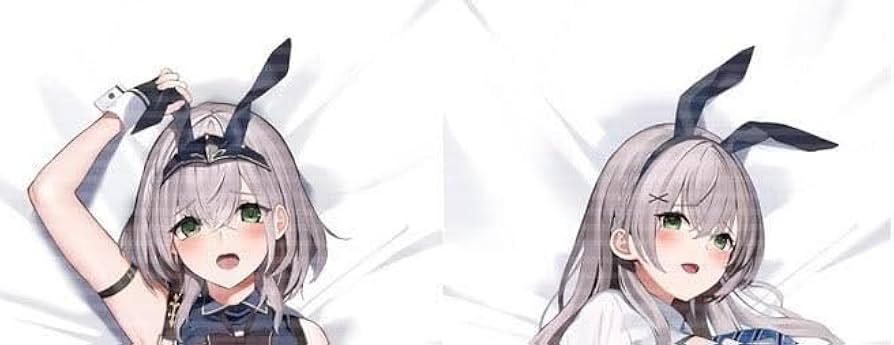 正規品 新品未開封 ホロライブ 白銀ノエル 抱き枕カバー 丸新 関西漁業協同 Amazon | 正規品 プラトンの基 ホロ Vtuber 白銀ノエル 抱き枕